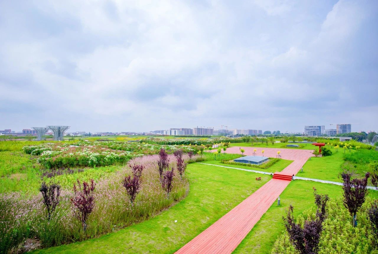 游艇会yth206水务污水公司虹桥污水处理厂荣获五星&ldquo;零碳工厂&rdquo;认证